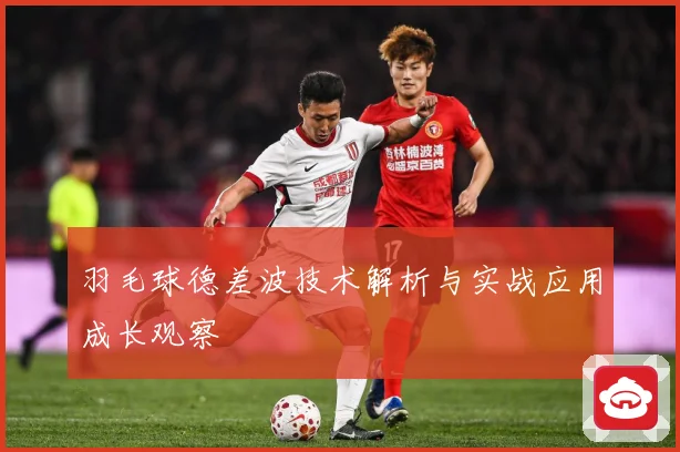 羽毛球德差波技术解析与实战应用成长观察