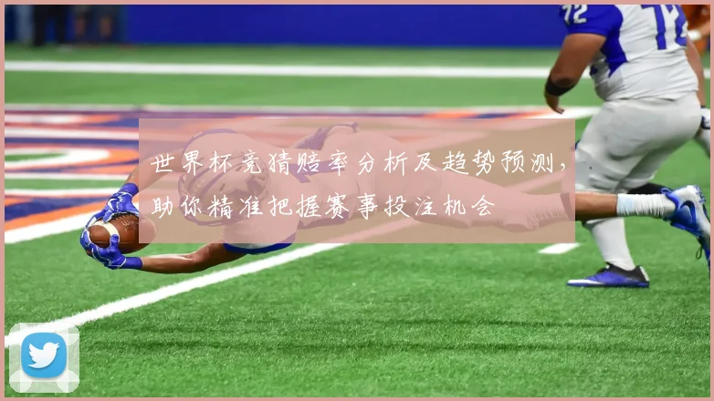 世界杯竞猜赔率分析及趋势预测，助你精准把握赛事投注机会